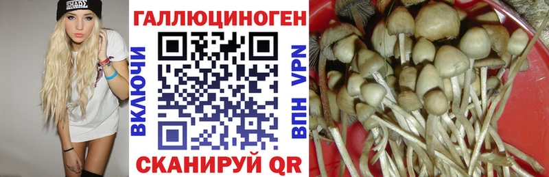 Псилоцибиновые грибы ЛСД  купить  цена  Славянск-на-Кубани 